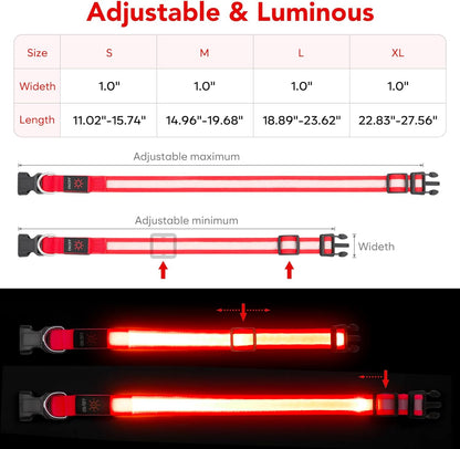 Illuminate Your Dog's Safety: Adjustable USB Rechargeable LED Glowing Collar - Super Bright & Stylish (Medium, Red)