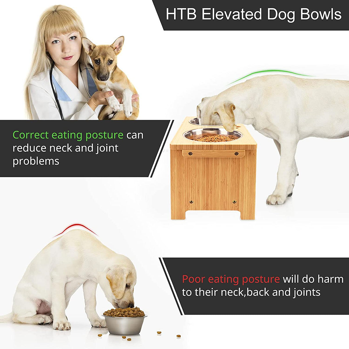Elevated Dog Bowl Set with Stainless Steel Bowls - Adjustable Stand for All Dog Sizes