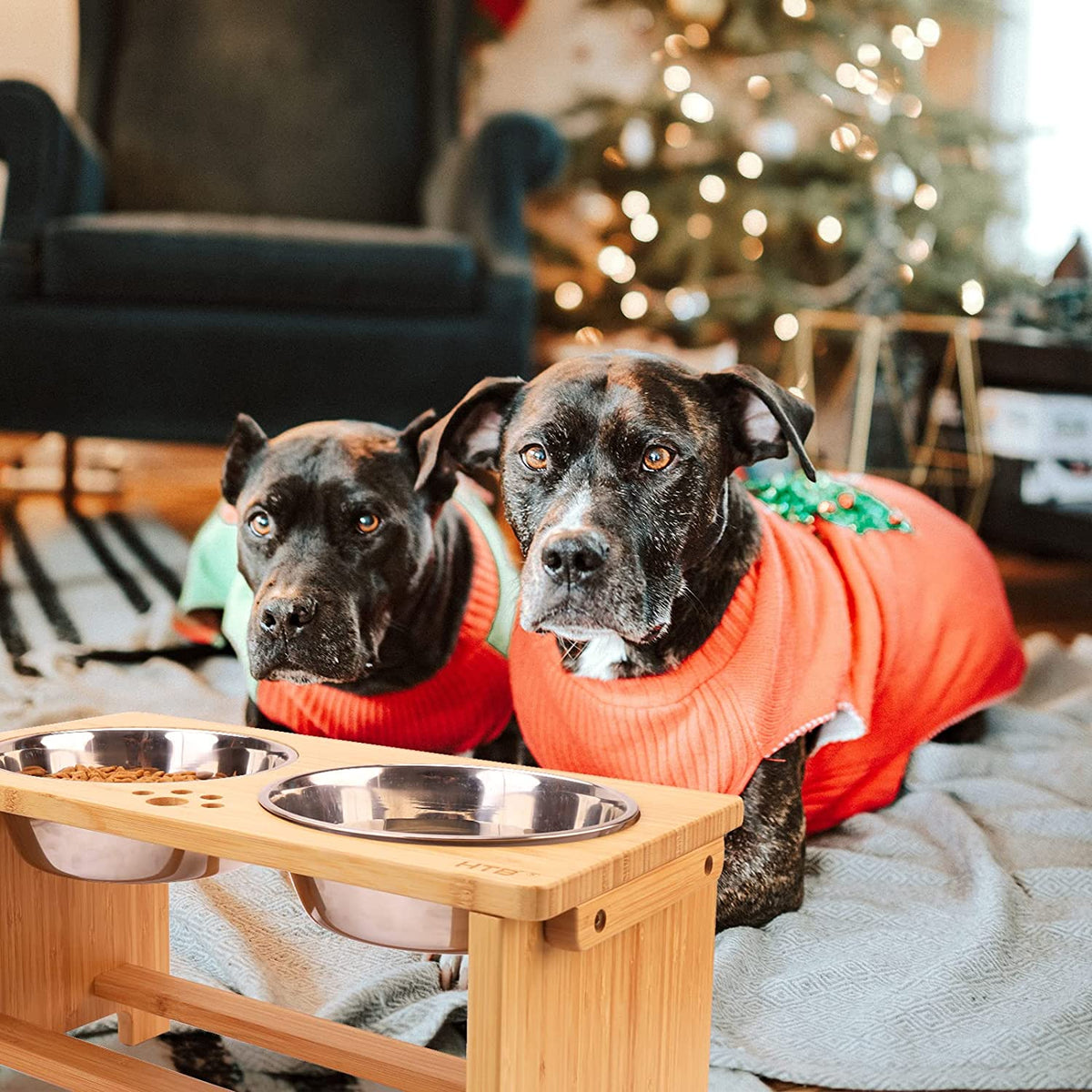 Elevated Dog Bowl Set with Stainless Steel Bowls - Adjustable Stand for All Dog Sizes